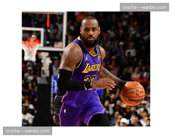 湖人西部第四主场优势 詹姆斯戴维斯经验丰富关键